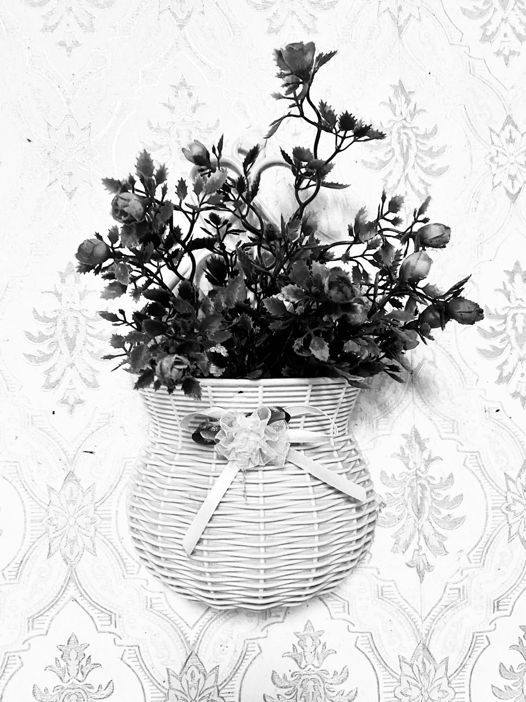 Città: Sepang - Foto di Lyxt